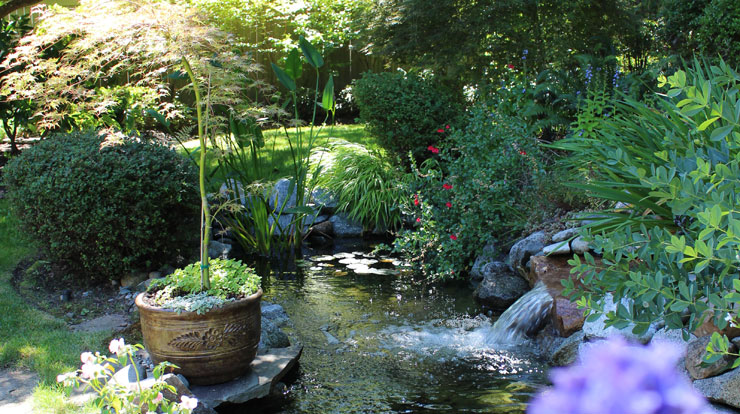 Calming garden landscape in the Pacific Northwest